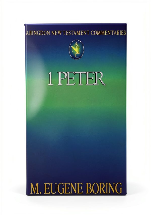 Abingdon Press New Testament Commentary Sikhism Kindle eBook-0