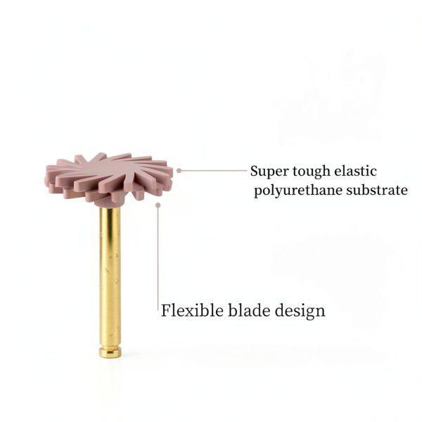 Dental Polishing Wheels Tangshan 2-Step Diamond Disc Set-2